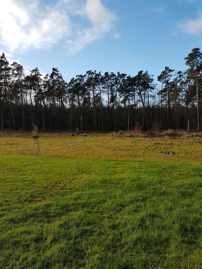 Sonnenstrahl Im Kuestenwald Gelbensande Exterior photo