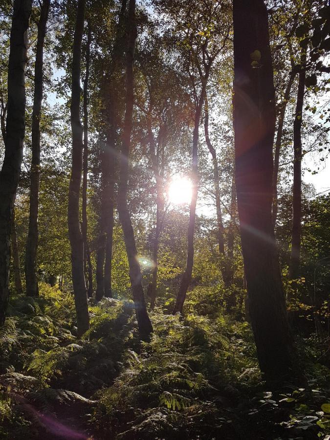 Sonnenstrahl Im Kuestenwald Gelbensande Exterior photo
